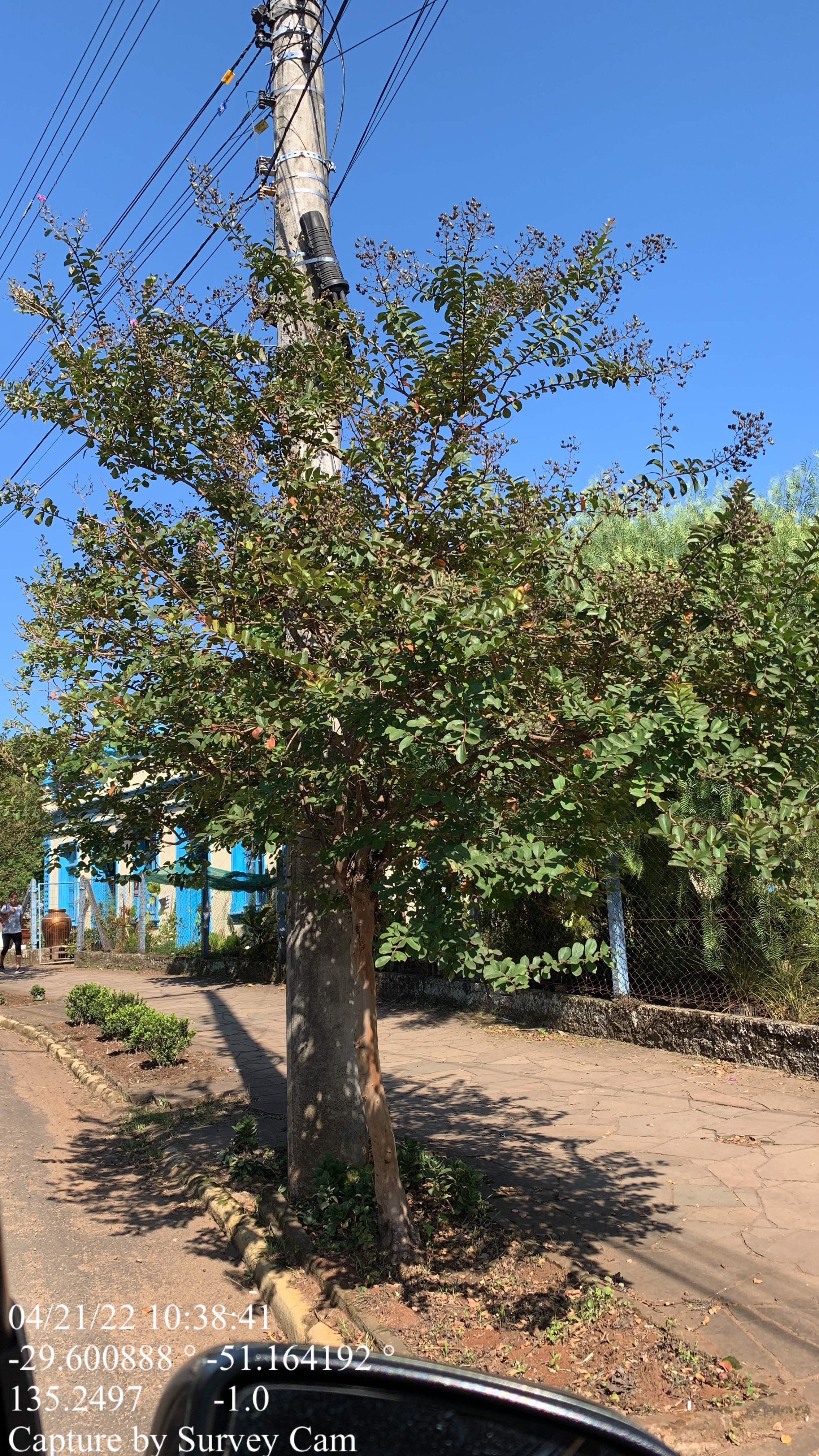 Distanciamento de postes